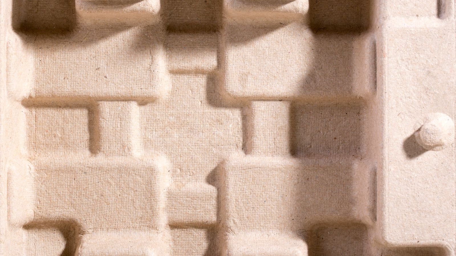 A light-coloured moulded cardboard packaging insert
