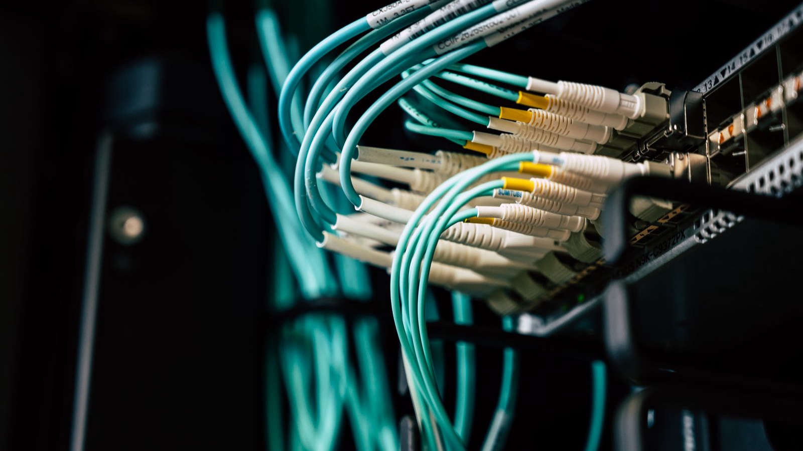 Data Migration: Move Historical Records with Meaning and Control A close view of network cables connected to a server