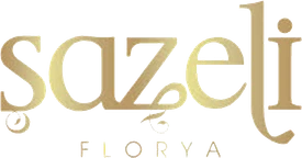 Şazeli Florya